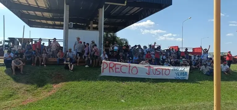 La desregulación yerbatera llevaría al quebranto a la mayoría de los minifundistas