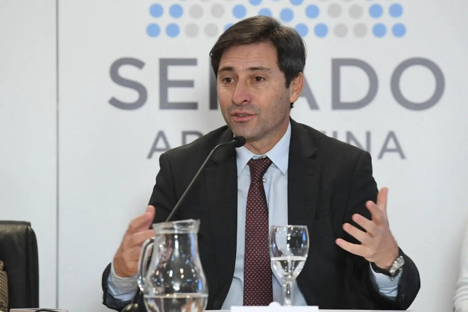 Senado: el PRO apoyará la remoción de Adorni