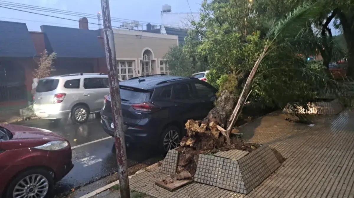 Temporal en Posadas: varios barrios sin luz y sin agua