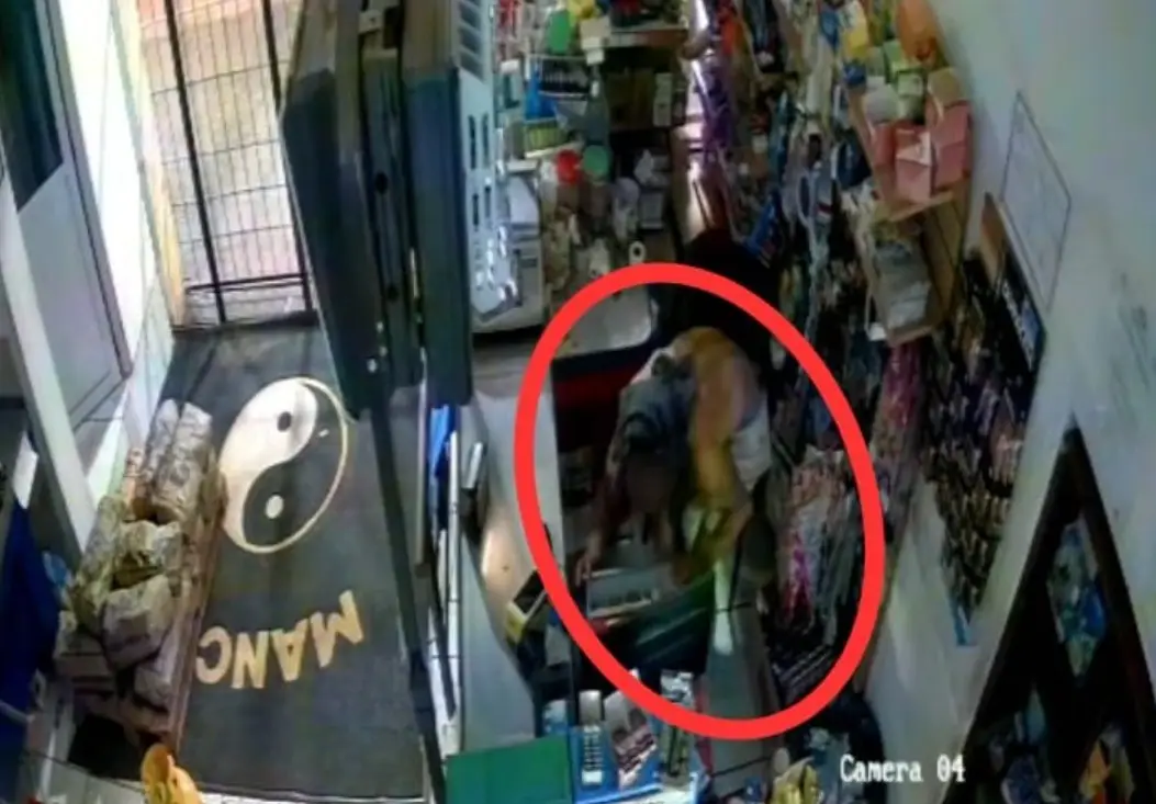 Iguazú: detuvieron a un involucrado en dos robos millonarios