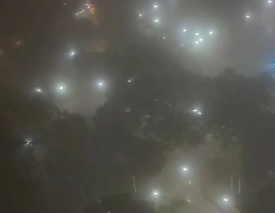 Intensa neblina cubrió la noche posadeña