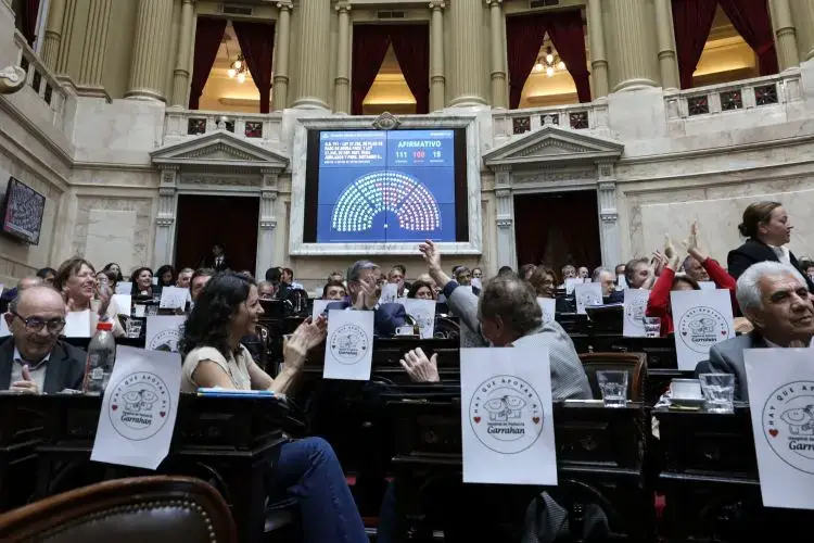 Diputados sancionó la emergencia en discapacidad y un aumento a jubilados
