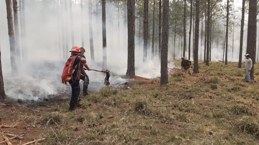 Incendios: trece departamentos misioneros se encuentran en alerta