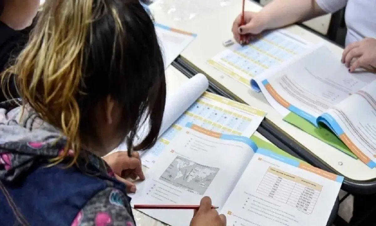 Pruebas Aprender: en Misiones, el 62% de los alumnos de tercero no entiende lo que lee