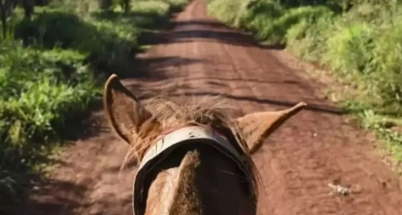 Se suspende la Cabalgata Belgraniana Misionera
