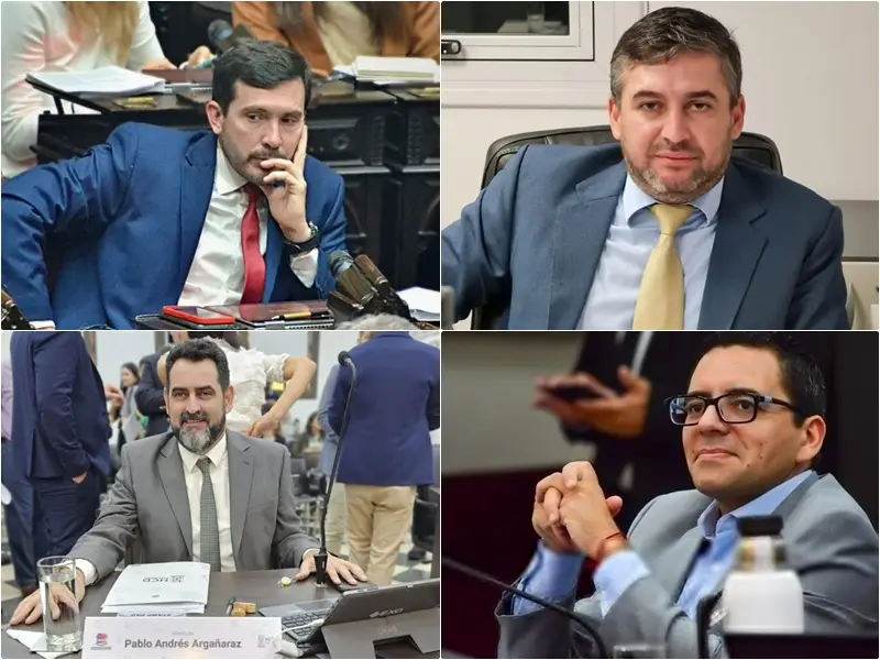 El radicalismo misionero pide la devolución de bancas