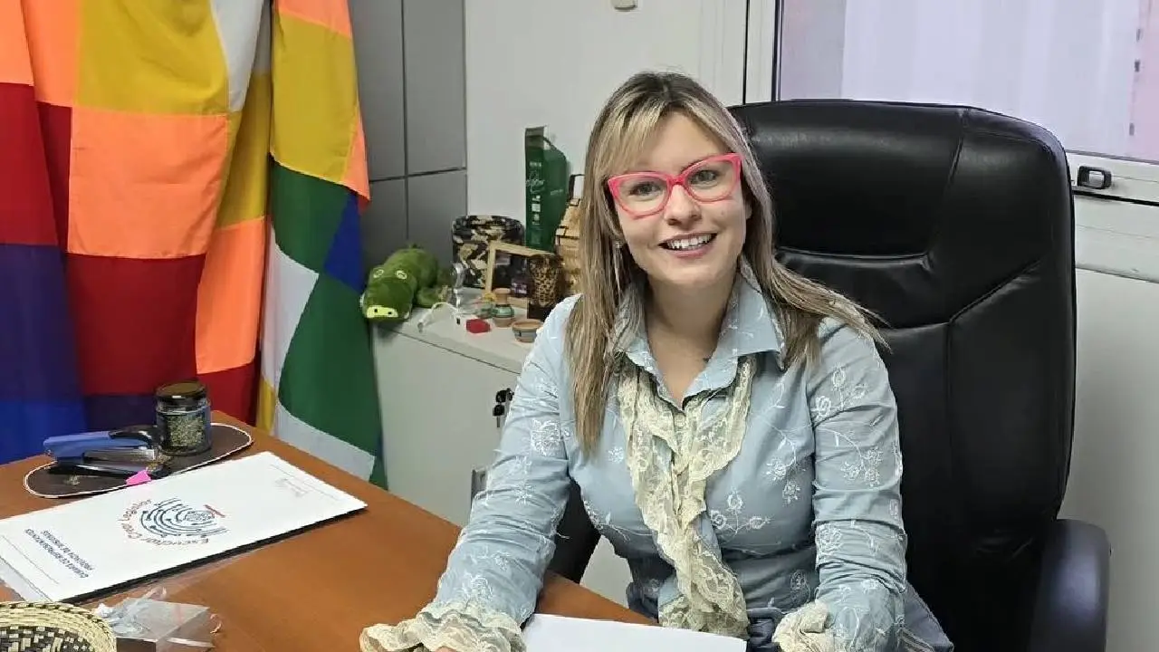 Diputada renovadora renunció a su banca