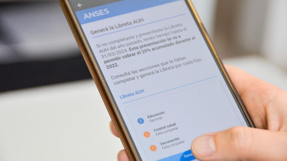 Vencen los plazos para la devolución del 20% de las AUH