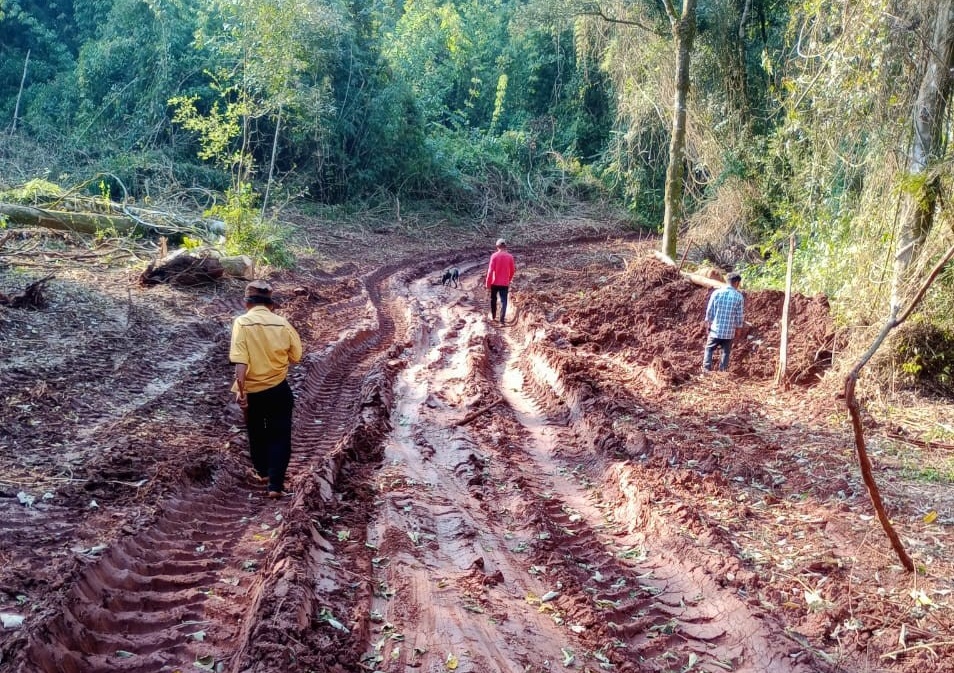 Denuncian apeo ilegal en la reserva de Biósfera Yabotí
