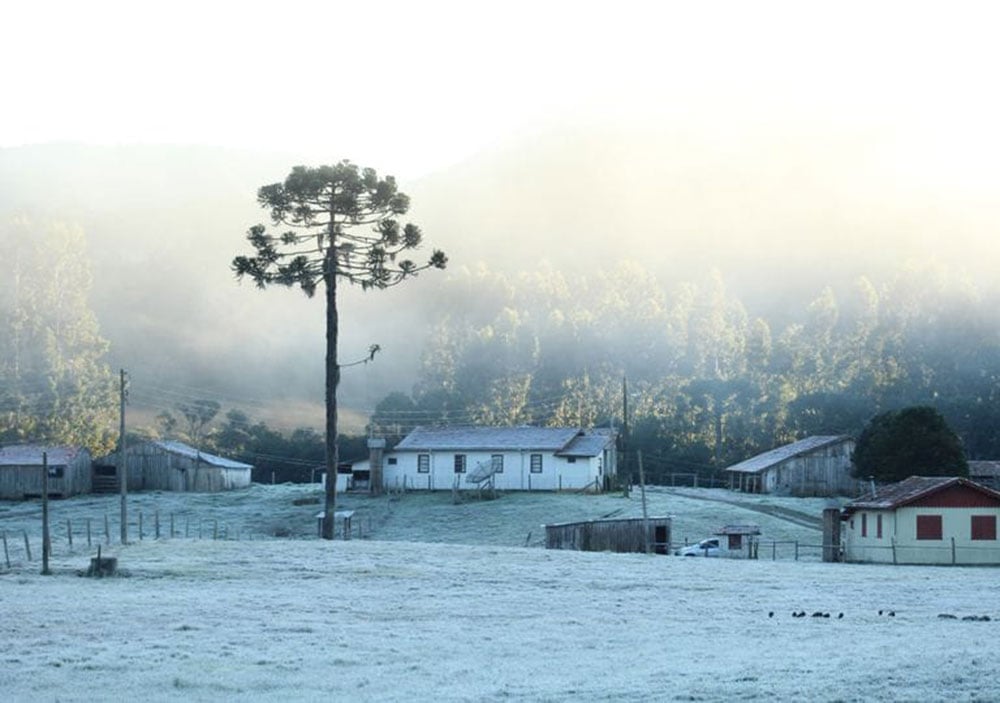 Clima: se esperan mínimas de 6°C en Misiones