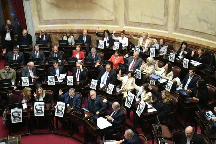 Por unanimidad, es ley la emergencia en discapacidad hasta 2026