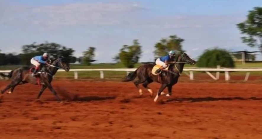 Muerte del caballo en el Hipódromo de Posadas: “Todos los años sucede lo mismo en este evento y no hay culpables”