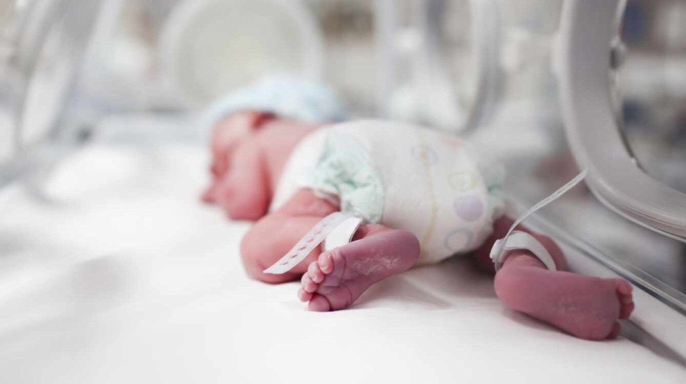 Con diversas actividades, se conmemora la Semana del Prematuro en la provincia