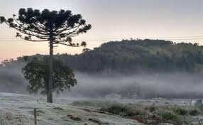 Clima despejado y bajas temperaturas en Misiones