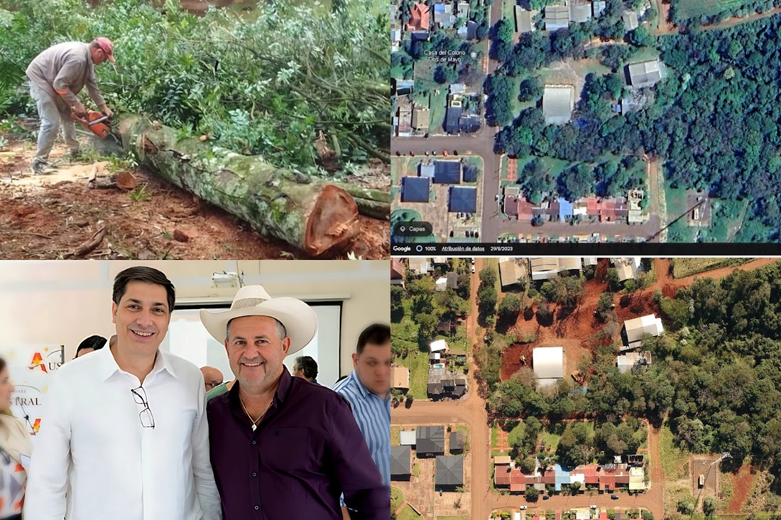 Dos de Mayo: Ecología se negó a multar a Weber por derribar árboles nativos