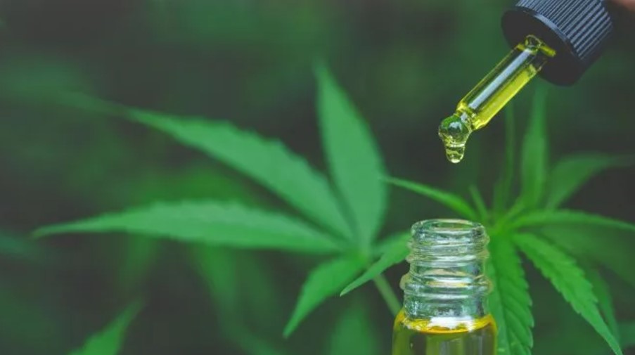 Usuarios de cannabis medicinal se movilizarán en Posadas