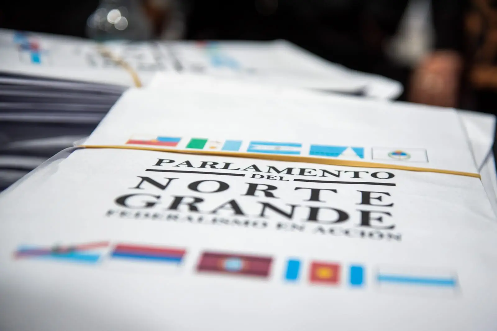 Vicegobernadores del Norte Grande se reunirán en Misiones