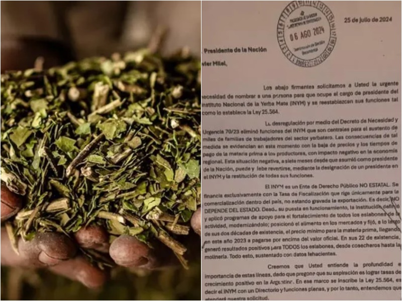Yerbateros volvieron a reclamar en Buenos Aires