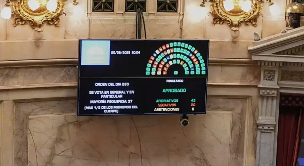 El Senado aprobó la suspensión de las PASO de este año
