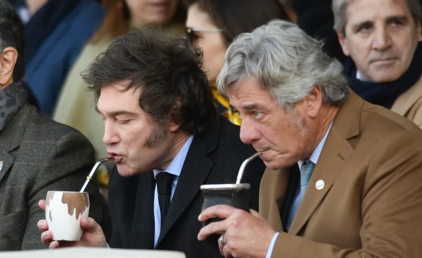 Efecto Milei: el consumo interno de la yerba mate se desplomó un 8,8%